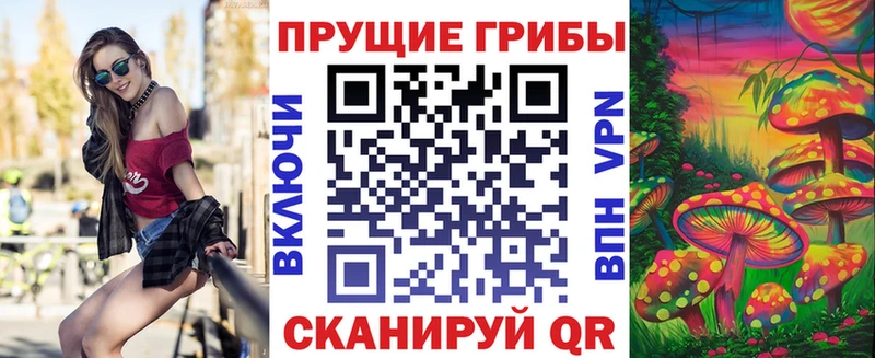Галлюциногенные грибы Psilocybine cubensis  Купить  Котельники 